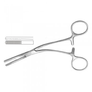 Salyer Bone Holding Forcep Stainless Steel, 16 cm - 6 1/4